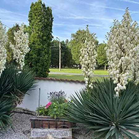 In Balatonbereny/balaton 18047 Appartement *